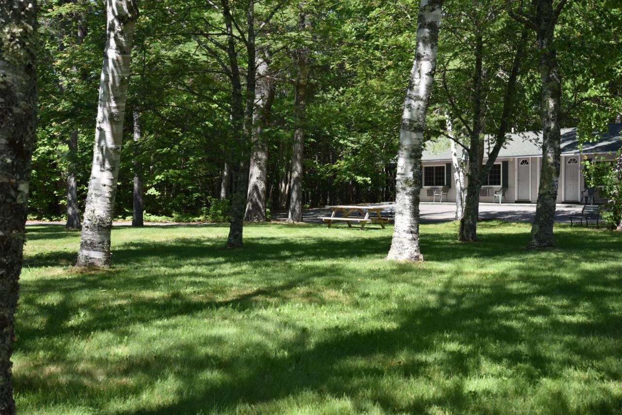 בר הרבור Acadia Pines Motel מראה חיצוני תמונה